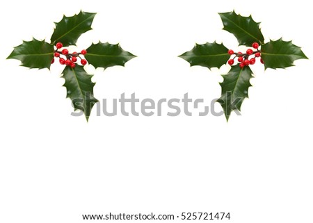 Holly ilex, christmas decoration in the upper corners, on a white background