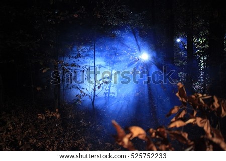 Using film lights in the woods to create moonlight effect