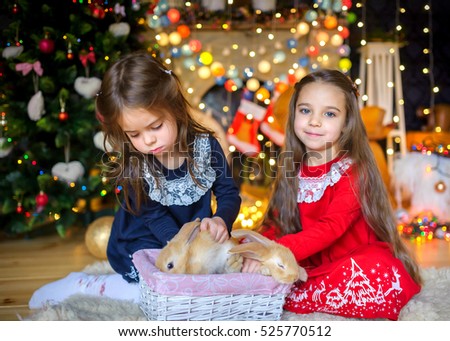 two beautiful girls are played with little rabbits, in festively decorated interior, on a background by a set of bright festive sparks, Christmas tree
