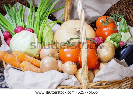 Different kinds of vegetables picked in the harvest basket