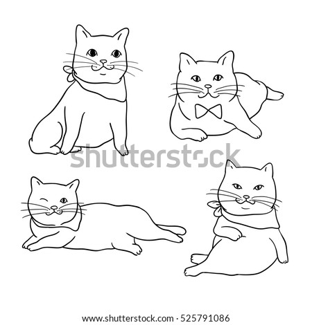 Vector illustration draw outline character cute cat .Doodle cartoon style.