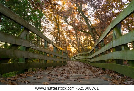 Wooden pathway through the woods in the morning light during Autumn.  Starved Rock State Park, Illinois, USA.