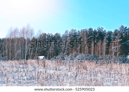 The village in winter forest. Rural landscape.