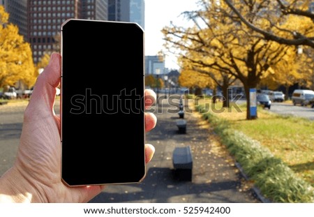 blank screen of smartphone on the street with yellow  ginkgo tree. the concept the use of smartphone 