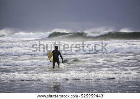 Surfer walking in the ocean with big waves to go surfing. Picture taken on Long Beach, Tofino, Vancouver Island, BC, Canada.