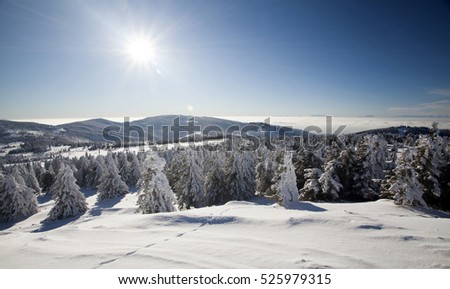Trees covered with hoarfrost and snow in winter mountains - Magic Christmas snowy background