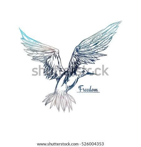 Flying seagull. The bird opens the wings. Graphic illustration. Free Bird. It Can Be Used For Printing On T-Shirts Or Ideas For Tattoos.