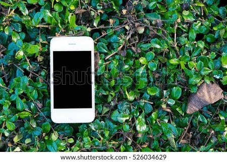 Mobile smart phones on green grass background.