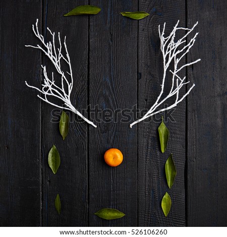 Reindeer Face made of Tangerine and Winter Branches. Minimal Christmas Concept. Flat Lay.