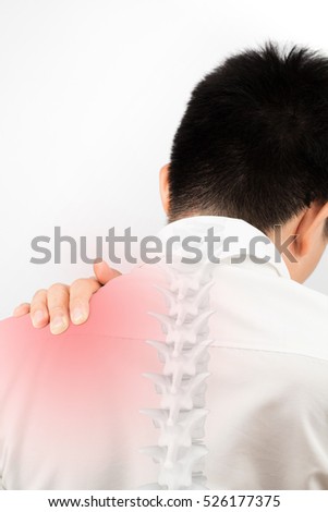 spine bones injury 
