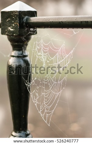 Metal forgings with spider web full of dew drops