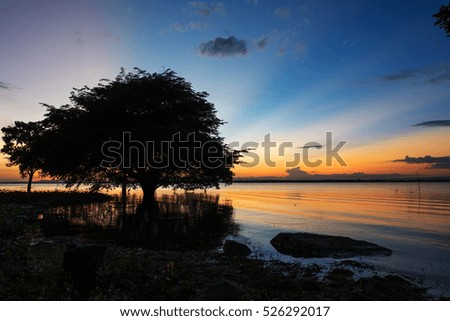 Trees in Lake with sunset