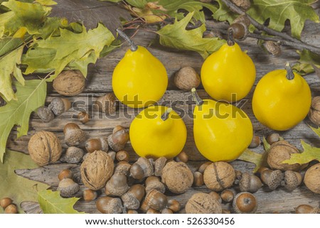 Decorative pumpkin, nuts and acorns among the autumn leaves