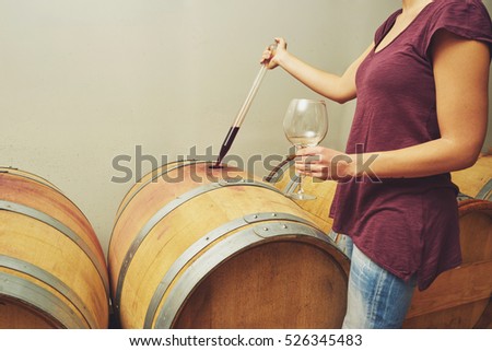 Winemaker getting sample of red wine from barrel
 Royalty-Free Stock Photo #526345483
