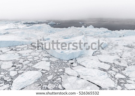Glacier fjord in Greenland