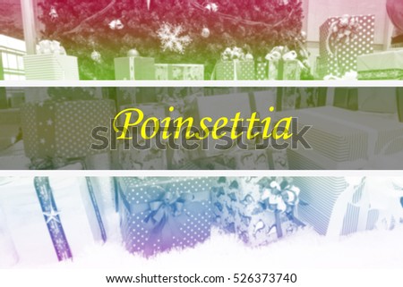 Poinsettia  - Abstract information to represent Merry Christmas & Happy new year as concept. The word Poinsettia  is a part of Merry Christmas and Happy new year celebration vocabulary in stock photo.