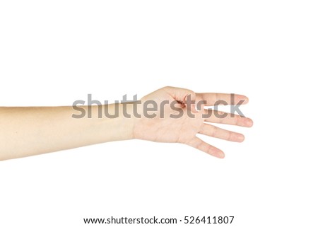 Isolated female hand on a white background.