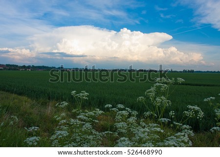Blue sky with fluffy clouds close, soft white clouds in blue sky