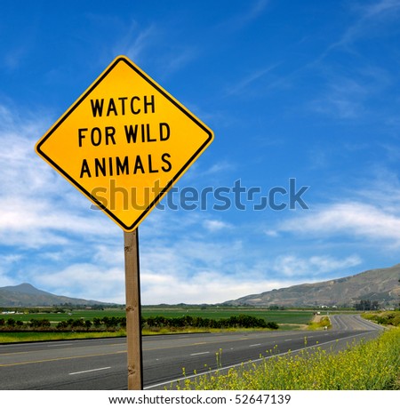 Rare Road Sign
