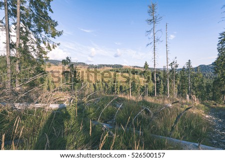 colorful countryside view in carpathians. mountains and forest trees with green meadows - vintage retro