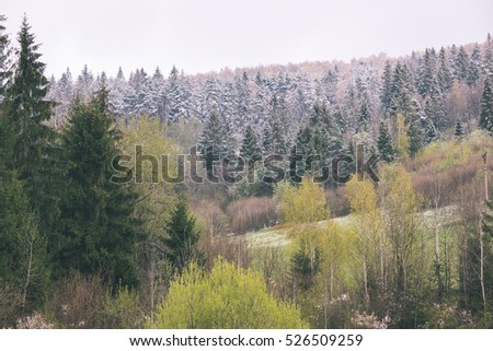 colorful countryside view in carpathians. mountains and forest trees with green meadows - vintage retro