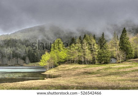 Refuge in the woods with lake and fog