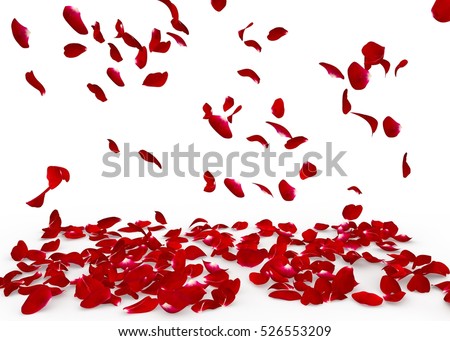 Rose petals fall to the floor. Isolated background Royalty-Free Stock Photo #526553209