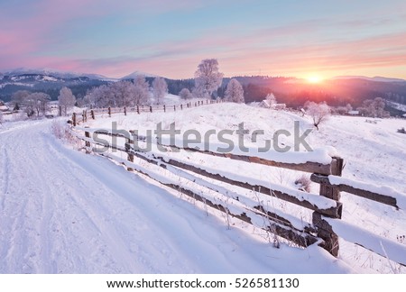 Winter country landscape with timber fence and snowy road into evergreen forest Royalty-Free Stock Photo #526581130