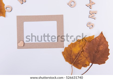 Leaves and blank Photo frame on a white background