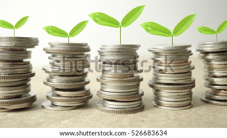 rows of coins and growing plant for finance and banking concept