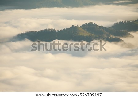 Fog and mountain morning day