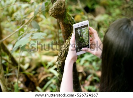 Girl's hand holding mobile phone take a photo. Young woman using smart phone outdoor take a picture. Focus on hand holding cellphone capture texture of tree. 