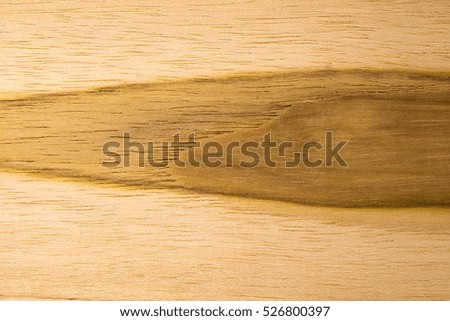 The surface of the wood, the bark is used as a natural background.