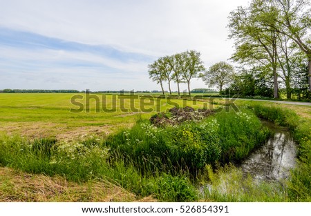 Polder landscape in the Netherlands in springtime with trees reflecting in the mirror smooth water surface of a curved small stream.