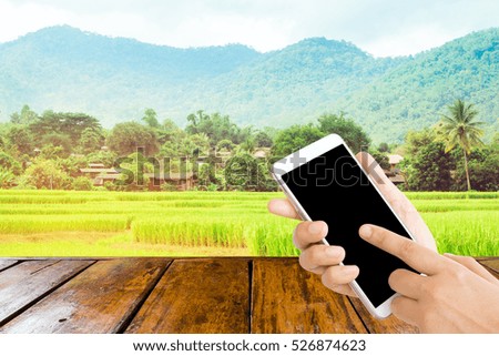 woman use mobile phone on the empty wooden table and organic rice fields as background