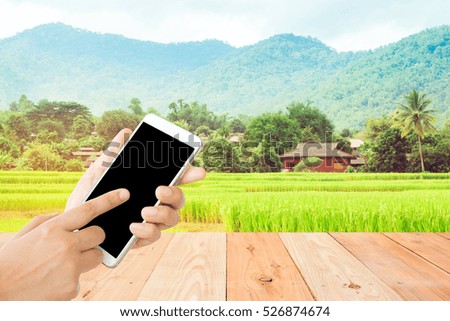 woman use mobile phone on the empty wooden table and organic rice fields as background