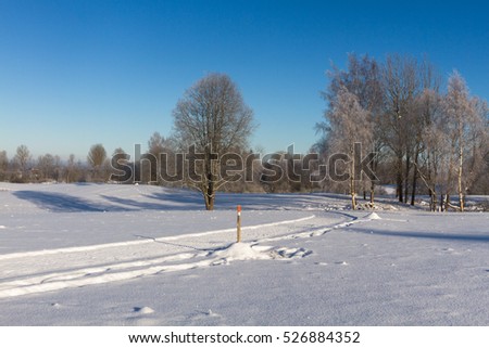 sunny winter day in Latvian country
