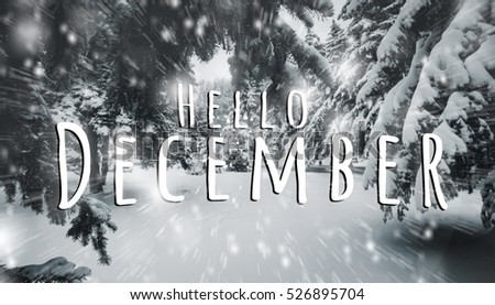 Blurry  winter park on background and text Hello december on foreground