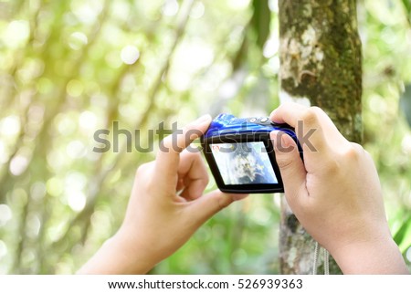 Boy's hand holding compact camera to take a photo. Young traveler man using digital camera outdoor capture texture of tree. Focus on hand holding camera, Copy space.