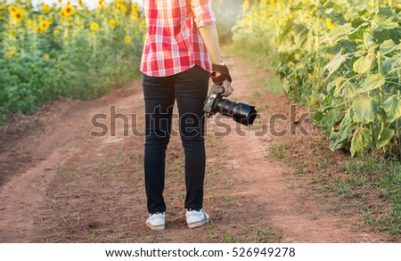 Photographer Woman Background Road in Sunflower. photographer