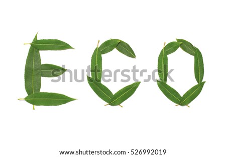 Natural green plant leaves in shape word eco isolated on a white background