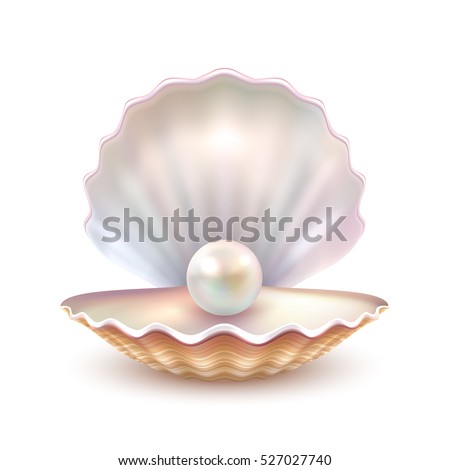 Finest quality beautiful natural open pearl shell close up realistic single valuable object image vector illustration  Royalty-Free Stock Photo #527027740