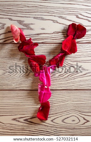 Alphabet of rose petals - Y letter laid out from the petals of red roses and pink flowers on a wooden light background