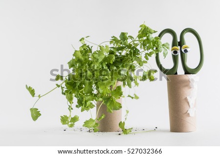 Toilet paper roll recycled as a seedling planters