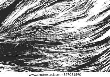Distressed overlay texture of birds quill, grunge vector background. abstract halftone vector illustration