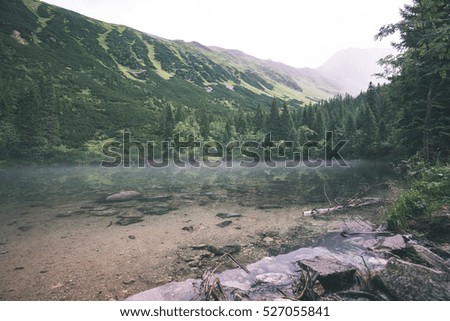 mountain lake in summer with stream and fog in forest- vintage retro look
