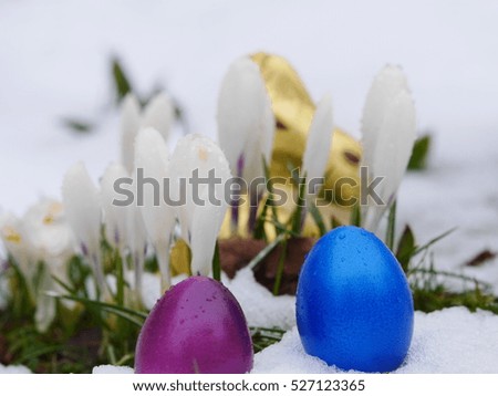 easter eggs laying snow flowers 