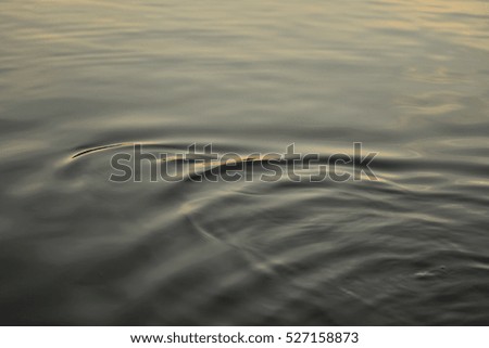 water of Still  abstract background