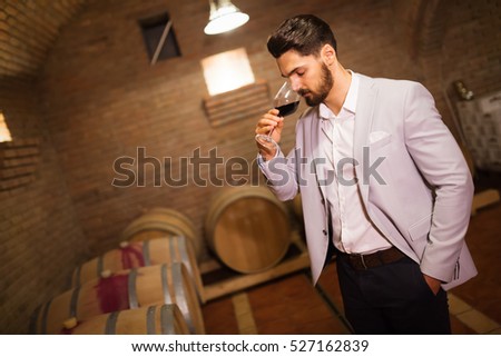 Winemaker inspecting wine in winery basement Royalty-Free Stock Photo #527162839
