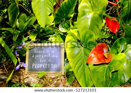 Motivation words: Today is a perfect day for a PERFECT DAY. Manuscript inspirational quotation on an outdoor banner in tropical garden.   